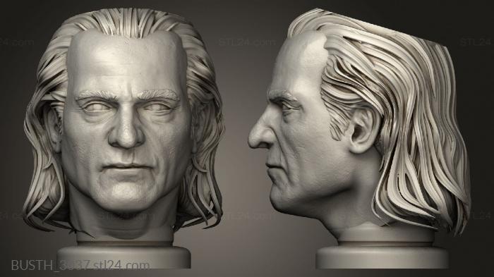 Busts of heroes and monsters (Joker Pot Maceta, BUSTH_3037) 3D models for cnc