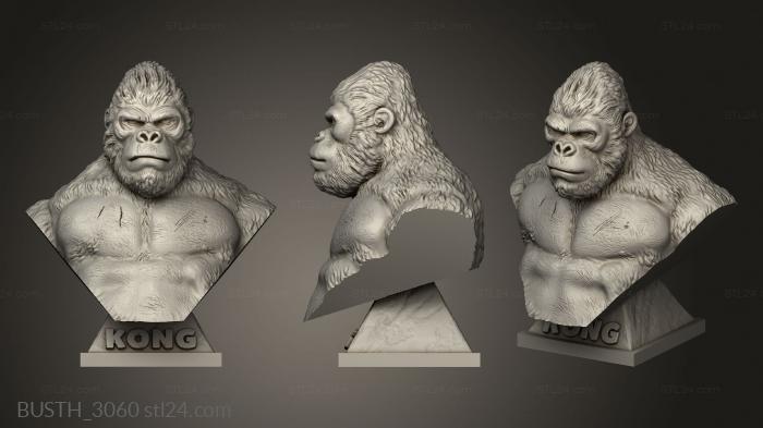 Busts of heroes and monsters (kong, BUSTH_3060) 3D models for cnc