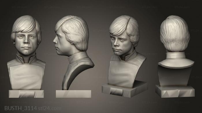 Busts of heroes and monsters (luke all, BUSTH_3114) 3D models for cnc