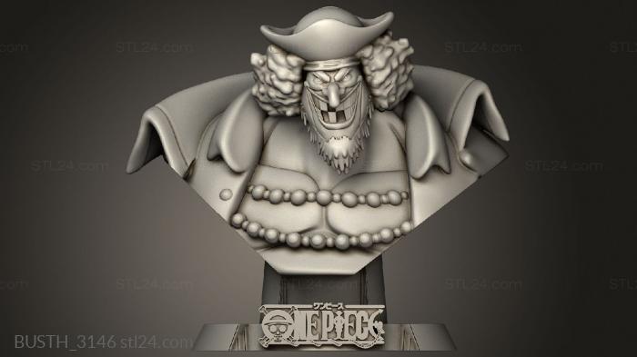 Busts of heroes and monsters (Marshall Teach Sekai, BUSTH_3146) 3D models for cnc