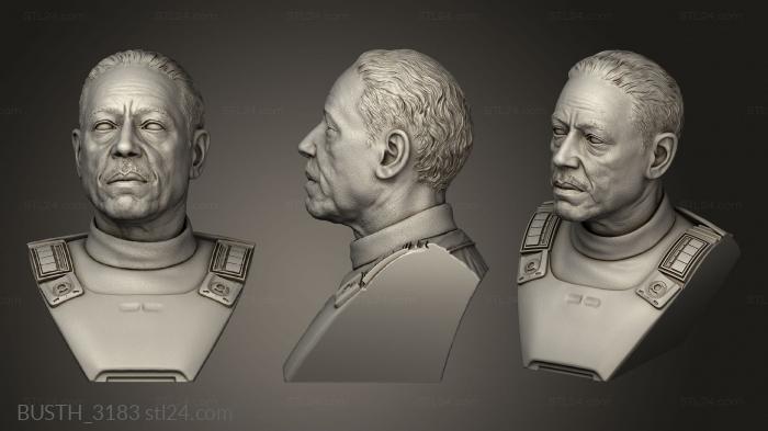 Busts of heroes and monsters (Moff Gideon, BUSTH_3183) 3D models for cnc