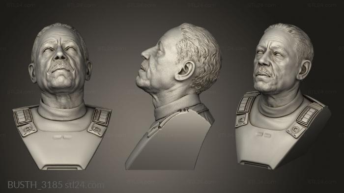 Busts of heroes and monsters (Moff Gideon, BUSTH_3185) 3D models for cnc