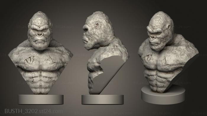 Busts of heroes and monsters (My King Kong Concept, BUSTH_3202) 3D models for cnc