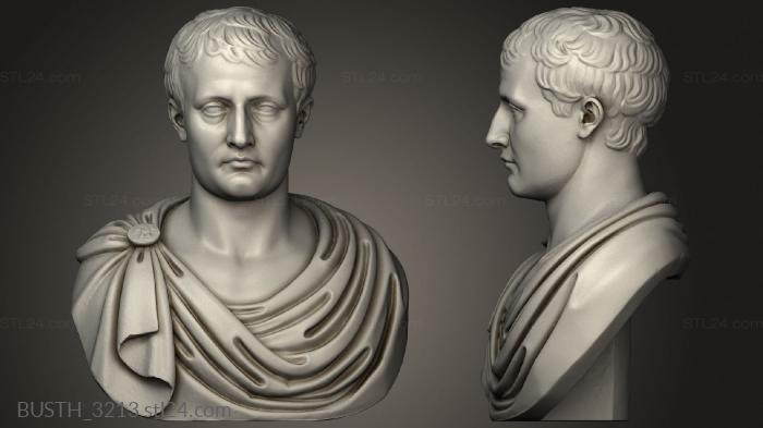 Busts of heroes and monsters (NAPOLEON ler, BUSTH_3213) 3D models for cnc