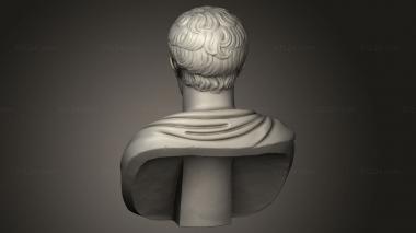 Busts of heroes and monsters (NAPOLEON ler, BUSTH_3213) 3D models for cnc