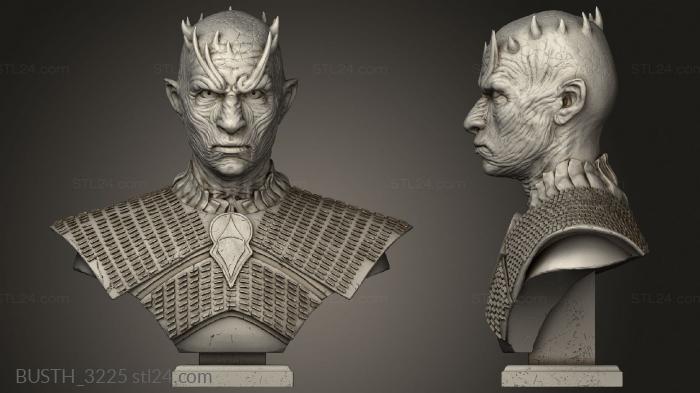 Busts of heroes and monsters (night king ethyl Wildwildivan Snow, BUSTH_3225) 3D models for cnc