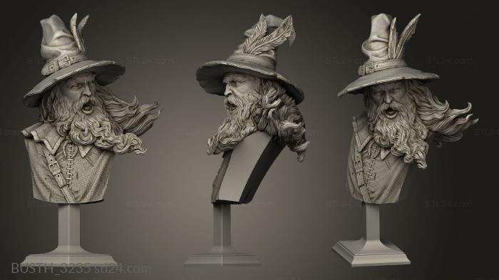 Busts of heroes and monsters (Albertus Ribeiro, BUSTH_3235) 3D models for cnc