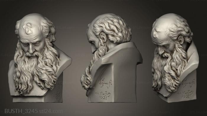 Busts of heroes and monsters (Old Man Marble, BUSTH_3245) 3D models for cnc