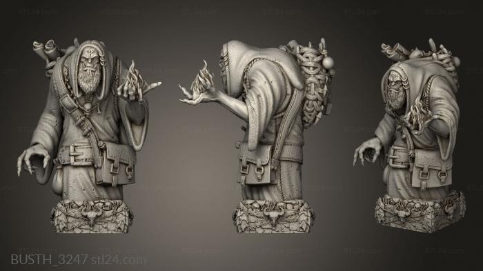 Busts of heroes and monsters (Orc Chess, BUSTH_3247) 3D models for cnc