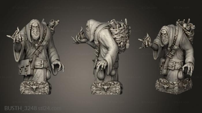 Busts of heroes and monsters (Orc Chess, BUSTH_3248) 3D models for cnc