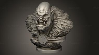 Busts of heroes and monsters (Orc Chief Helmet, BUSTH_3252) 3D models for cnc