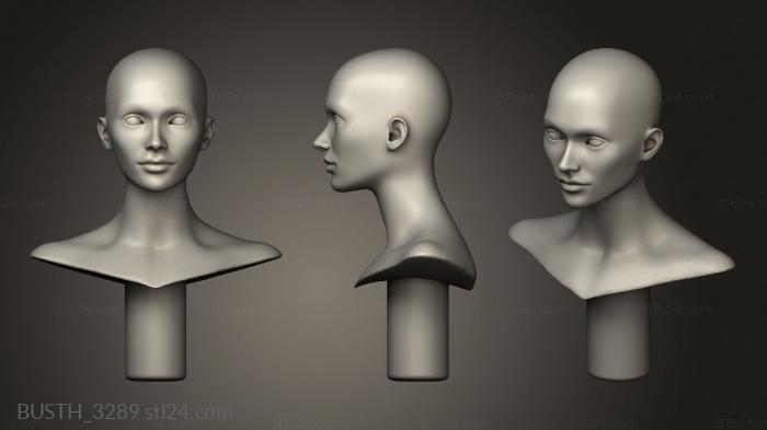 Busts of heroes and monsters (Practice female, BUSTH_3289) 3D models for cnc