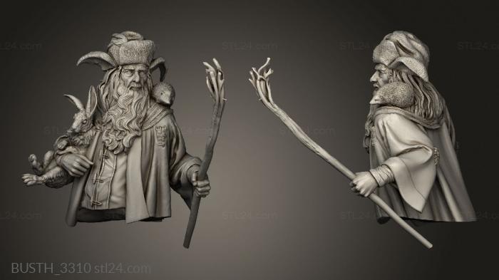 Busts of heroes and monsters (Radagast The forester, BUSTH_3310) 3D models for cnc