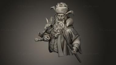 Busts of heroes and monsters (Radagast The forester, BUSTH_3310) 3D models for cnc