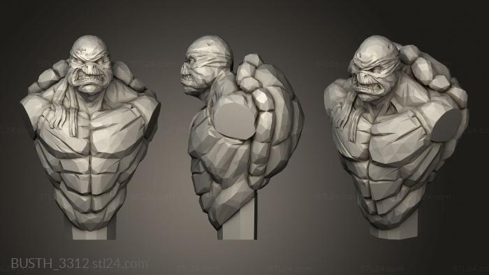 Busts of heroes and monsters (Raphael, BUSTH_3312) 3D models for cnc
