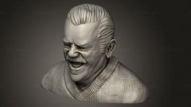 Busts of heroes and monsters (Risitas, BUSTH_3328) 3D models for cnc