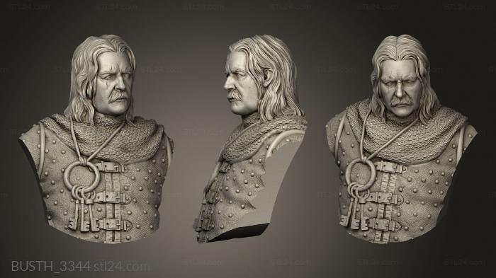 Busts of heroes and monsters (Harold The Town Guard, BUSTH_3344) 3D models for cnc