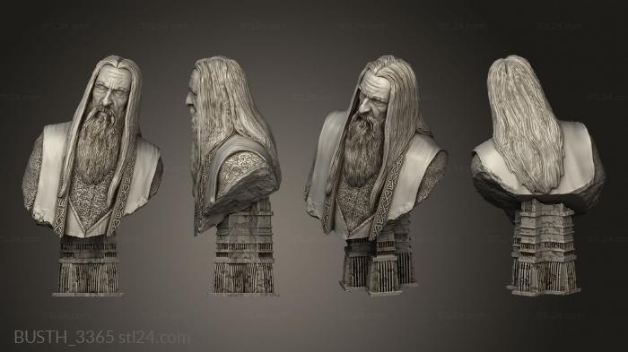 Busts of heroes and monsters (saruman, BUSTH_3365) 3D models for cnc