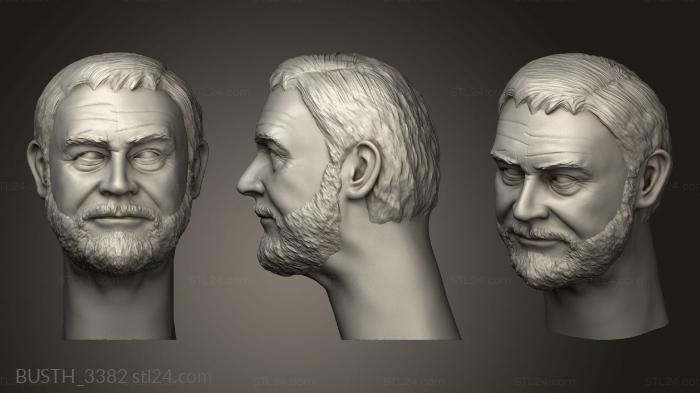 Busts of heroes and monsters (Sean Connery able portrait, BUSTH_3382) 3D models for cnc