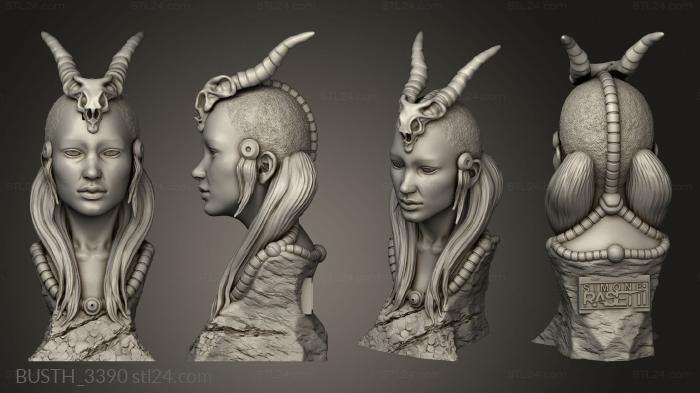 Busts of heroes and monsters (Shaman, BUSTH_3390) 3D models for cnc