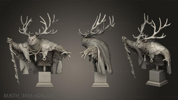 Busts of heroes and monsters (Snowy Mountain Were Beast, BUSTH_3416) 3D models for cnc