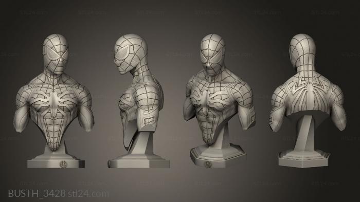 Busts of heroes and monsters (Spiderman, BUSTH_3428) 3D models for cnc