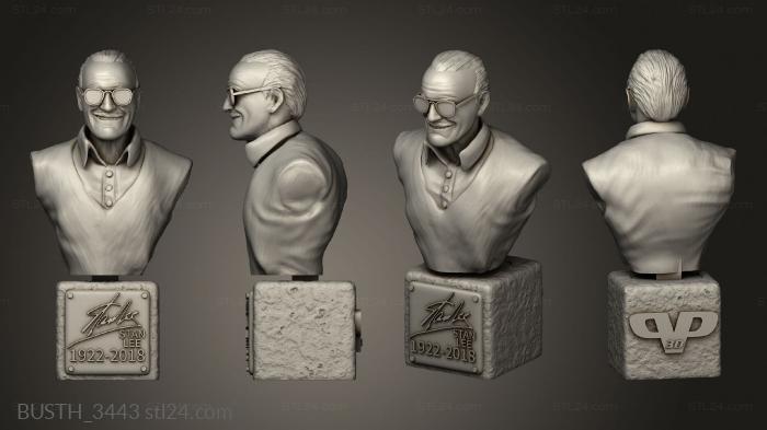 Busts of heroes and monsters (Stan Lee, BUSTH_3443) 3D models for cnc