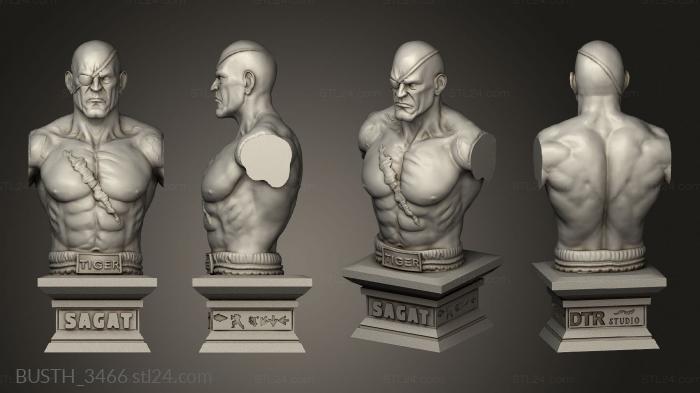 Busts of heroes and monsters (street fighter sagat, BUSTH_3466) 3D models for cnc