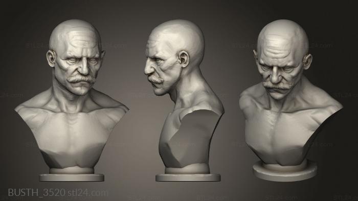 Busts of heroes and monsters (Xmas Hat, BUSTH_3520) 3D models for cnc