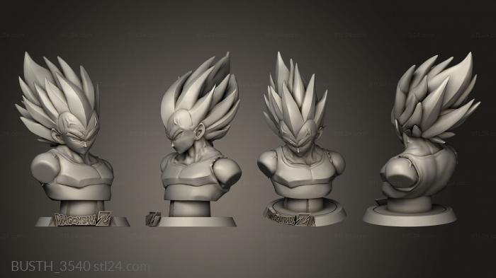 Busts of heroes and monsters (Vegeta Sekai Logo, BUSTH_3540) 3D models for cnc