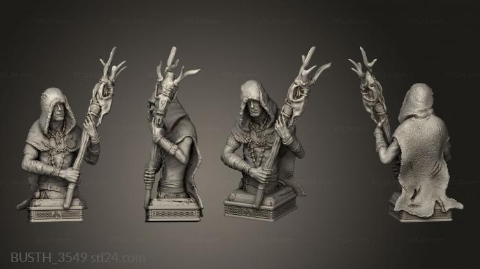 Busts of heroes and monsters (Viking Chess Bi, BUSTH_3549) 3D models for cnc