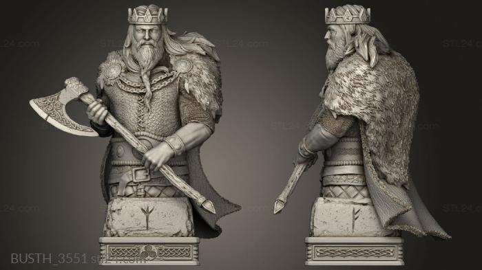Busts of heroes and monsters (Viking Chess King, BUSTH_3551) 3D models for cnc