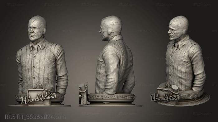 Busts of heroes and monsters (Vision One Logo, BUSTH_3556) 3D models for cnc