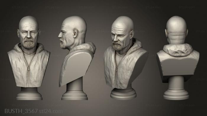 Busts of heroes and monsters (Walter White Breaking Bad Glasses, BUSTH_3567) 3D models for cnc