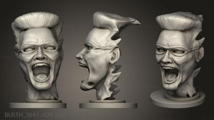 Busts of heroes and monsters (The Riddler, BUSTH_3643) 3D models for cnc