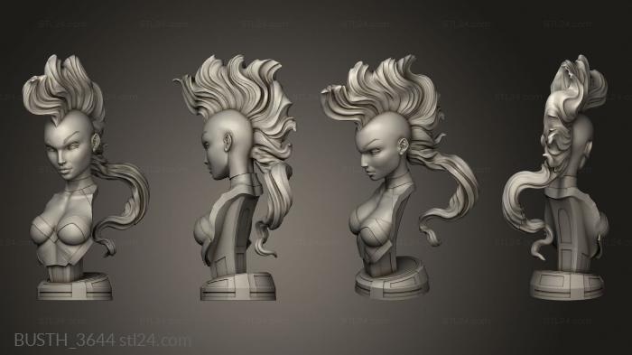 Busts of heroes and monsters (Campbells Storm Bust, BUSTH_3644) 3D models for cnc