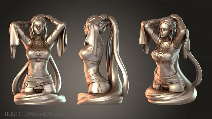 Bust zelda Valiant