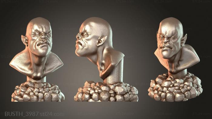 Бюсты монстры и герои (Бюст Монстр, BUSTH_3987) 3D модель для ЧПУ станка