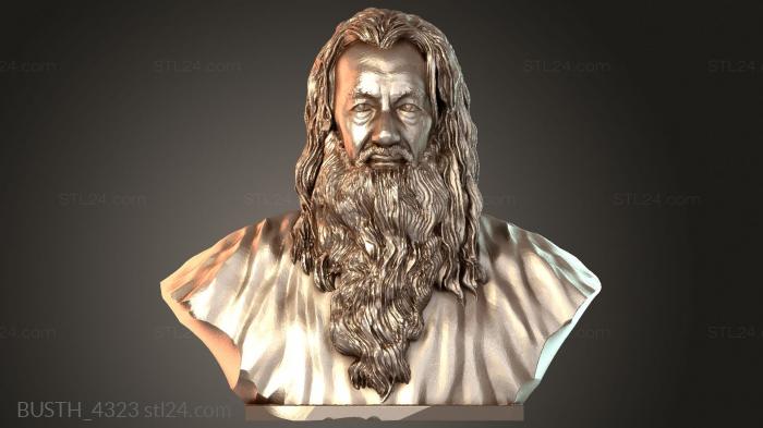 Бюсты монстры и герои (Бюст Гэндальфа, BUSTH_4323) 3D модель для ЧПУ станка
