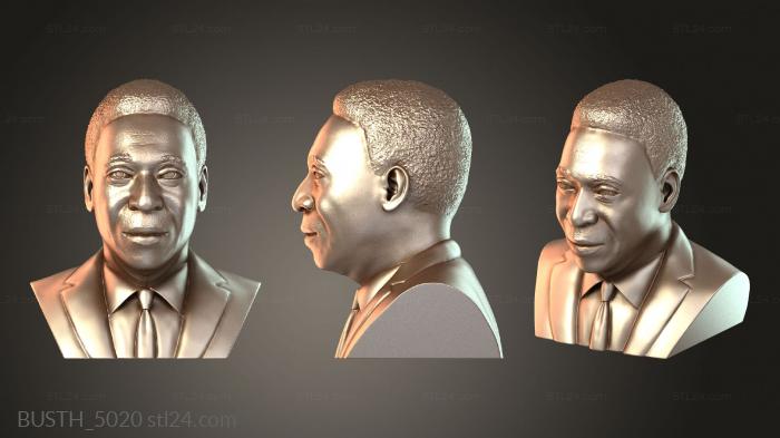 Busts of heroes and monsters (BUSTH_5020) 3D models for cnc