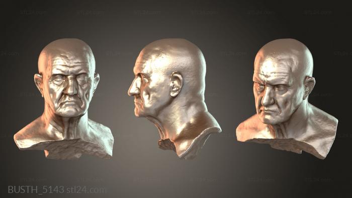 Busts of heroes and monsters (BUSTH_5143) 3D models for cnc