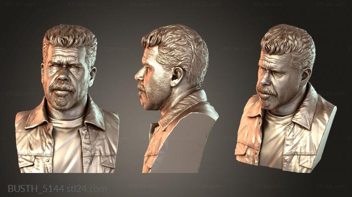 Busts of heroes and monsters (BUSTH_5144) 3D models for cnc