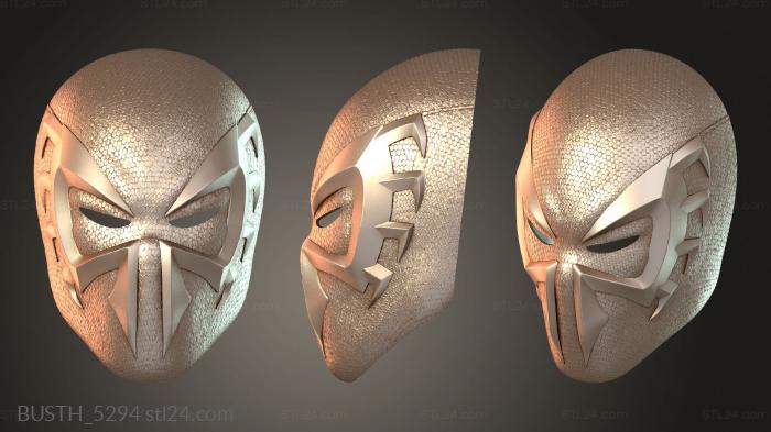 Busts of heroes and monsters (BUSTH_5294) 3D models for cnc
