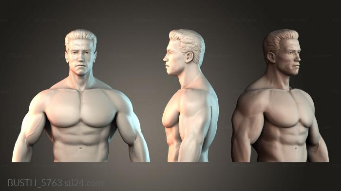 Бюсты монстры и герои (BUSTH_5763) 3D модель для ЧПУ станка