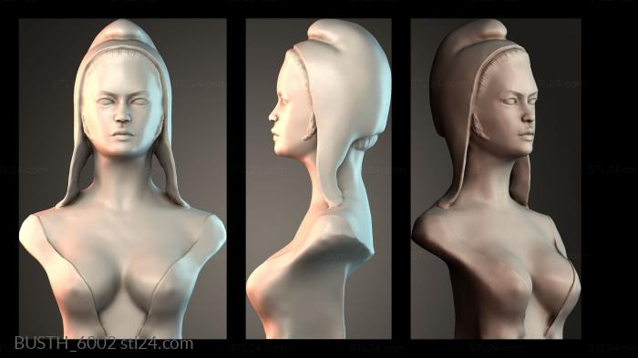 Бюсты монстры и герои (BUSTH_6002) 3D модель для ЧПУ станка