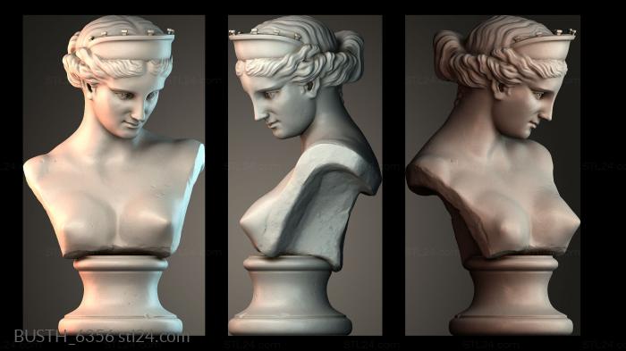 Бюсты монстры и герои (BUSTH_6356) 3D модель для ЧПУ станка