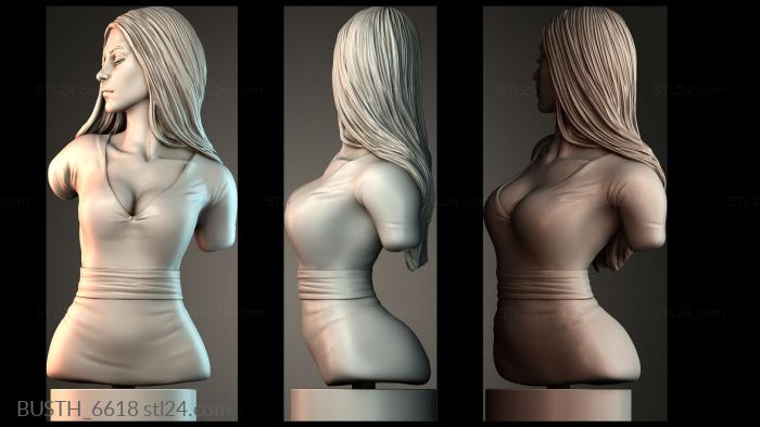 Бюсты монстры и герои (BUSTH_6618) 3D модель для ЧПУ станка