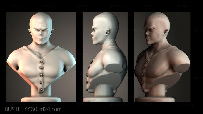Бюсты монстры и герои (BUSTH_6630) 3D модель для ЧПУ станка