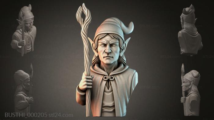 BUSTHI_000205 3d STL model