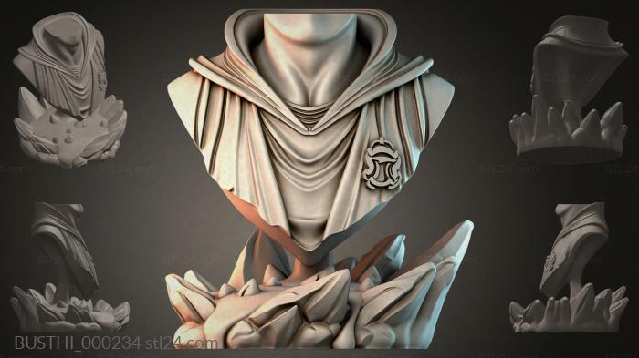 BUSTHI_000234 3d STL model